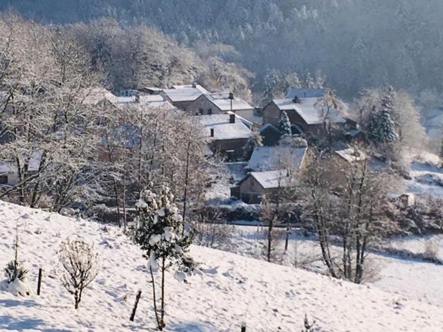 Villa Cora Venez Neuve Avec Spa Saint-Bresson Exterior foto