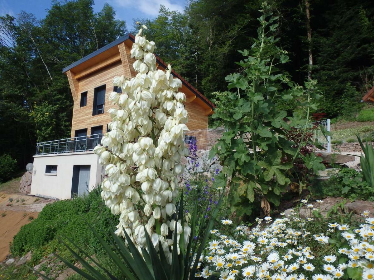 Villa Cora Venez Neuve Avec Spa Saint-Bresson Exterior foto