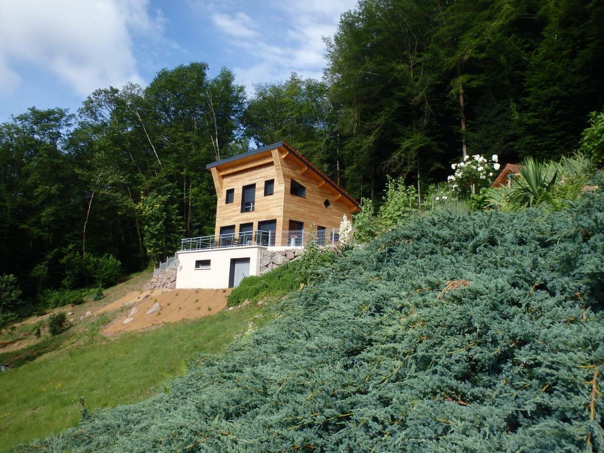 Villa Cora Venez Neuve Avec Spa Saint-Bresson Exterior foto