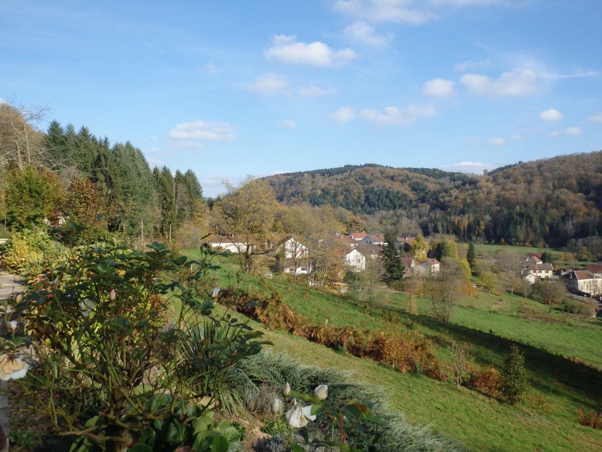 Villa Cora Venez Neuve Avec Spa Saint-Bresson Exterior foto